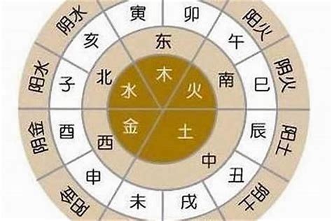 天運五行 金|天運五行(五行命理)